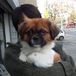 담쟁이는 말없이 그 벽을 오른다