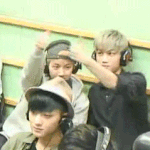 [EXO] 솔직히 호모판이 낫다ㅋㅋㅋ