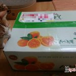 [묘한라이프] 먼치킨고양이) <b>세모</b>에게 친구가 생겼어요~