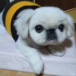 넥<b>워머</b>의 새로운 발견^^