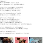 꼭 <b>입양</b>가야 할 아이들
