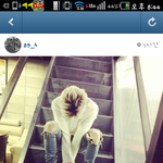 [비스트] 란<b>스타</b>