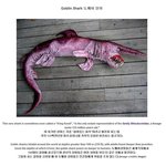 [작두] [혐] 지구상의 희귀한 <b>생물</b>들