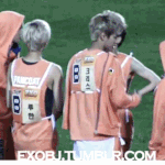 [EXO] 섹시고양이+<b>흑표범</b> ㅅㅂㅋㅋㅋ