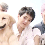 [시우민] 요녀석만 없다면..