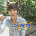 [카이] 고양이종이니