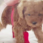 [카이] 12월의기적뮤비보니까....