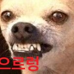 [시우민] <b>큰맘</b>먹고스노우볼민석이가나오길바라며앨범5장을샀지