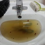 [댓글부탁] 개혐오)신발 새로샀는데 똥밟음(사진有)