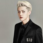 [EXO] 세훈아이비<b>늑대</b>소년(8ㅍ)