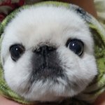 <b>et</b>와 흰둥이 그리고 춘향이