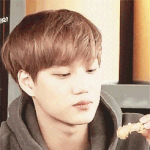 [카이] 치킨야무지게뜯고있음_<b>gif</b>