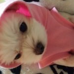 우리 행복이 보내고오는길...