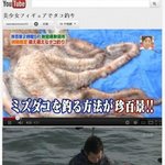 열도의 문어 낚시용 <b>미끼</b> 甲.jpg