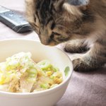 방구석 집순이의 생활요리2