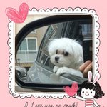 [<b>날아라</b>콩이] (<b>날아라</b> 콩이2탄) 기쁜 콩이!  라이더 콩이!