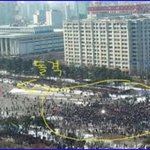 솔로대첩vs티몬크리스마스솔로파티 어디 참가할까요?
