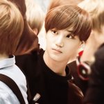 [카이] 내가좋아하는종인이머리