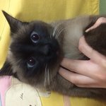 누나가 수면<b>양말</b>로  옷만들어줄게