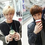 [비상대피소] 크리슈밍<b>다스</b>는 돌아오지 않았다..
