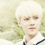 [EXO] 이제오세훈좋아하면안되는거?