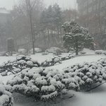 [비상대피소] 슈밍 이제 <b>그마안</b>ㅠㅠㅠ
