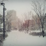 [비상대피소] <b>zzz</b>하이뤀ㅋㅋㅋ