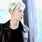 [EXO] <b>진짜</b> 머리가 <b>사람</b>잘만난듯