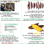 [함께하는삶] 고구마가 아이들을 지켜줄 수 있을까요?