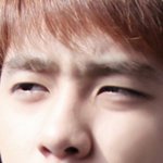 [EXO] 관<b>종년</b>들어왓네