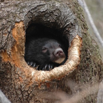 겨울이면 생각나는 한가지!! 바로 축제!! 지산 윈터 페스티벌~...