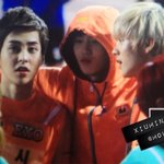 [시우민] 헐이거시우민실물이랑<b>근접</b>한것같아