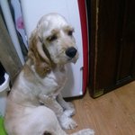 [<b>몽이</b>네] <b>몽이</b>판3탄