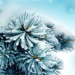 요즘 인기 있다는 퍼퓸샴푸의 원조는 어떤 것일까!? 집중분석!!