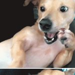 <b>wow</b>~~~말도 안돼