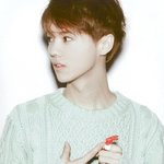 [EXO] 루한디오매력다름