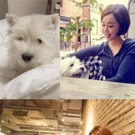 @@김민서가 사랑한 애견 <b>피파</b>는 누구???