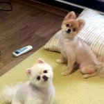 [단지<b>요지</b>] 5탄)곰돌이 탈벗고 생얼로 나타났어요^^