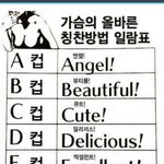 외국 네티즌이 알려주는 여친의 올바른 가슴크기  <b>칭찬</b>법