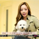 구하라얼굴(<b>놀람</b>주의)