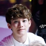 [CHEN] 종대 <b>숙소</b>에서 새키운다더라ㅎㅎ