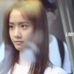 [exo] 설리<b>팬</b>들이 무개념인 이유
