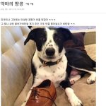 [귀여움ㅋㅋ] <b>악마</b>의 땅콩