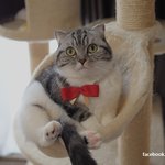 [유봉이네] 유봉이네 잔혹<b>동화</b>2(유봉이네)