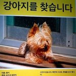 성악가 <b>조수미</b>님이 강아지 통키를 잃어버리셨데요ㅠㅠ 도와주세요!!