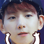 [EXO] 백현이모찌<b>gif</b>