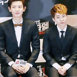 [EXO] 영혼 쌍둥이 뉴짤ㅋㅋㅋㅋ.<b>gif</b>