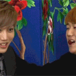 [EXO] 카이랑 키스.<b>gif</b>