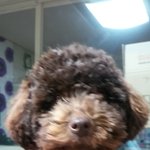 [<b>기여</b>미쪼꼬] <b>기여</b>미쪼꼬