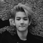 [EXO] 내가 좋아하는 백현화보짤.<b>jpg</b>